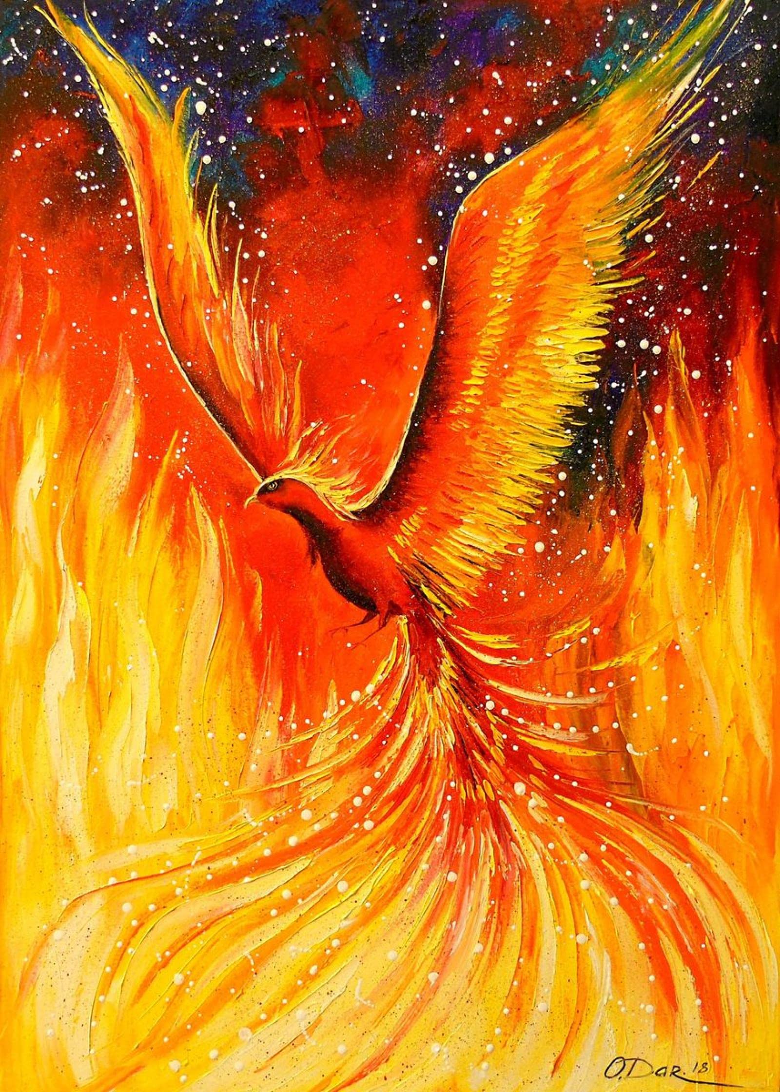 Amazon｜豪華な抽象動物フェニックスキャンバス絵画壁アート写真子供の